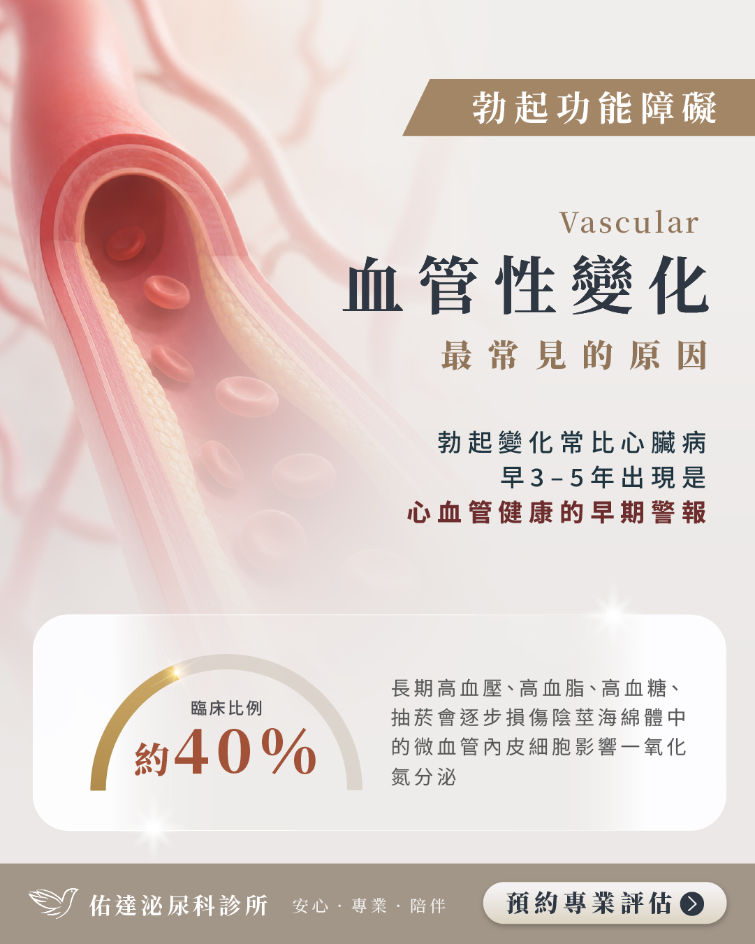 血管性變化原因說明圖
