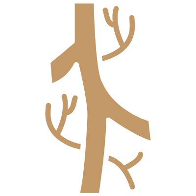 低能量震波治療相關圖片，請於後台更換