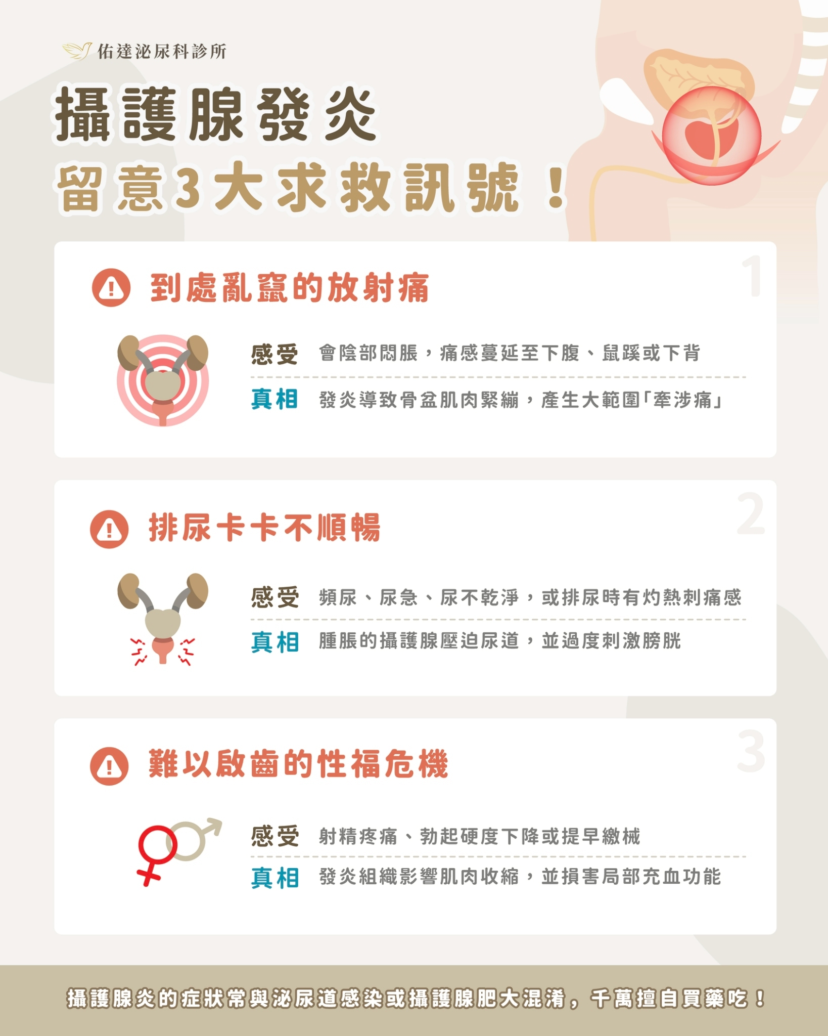 正常攝護腺與攝護腺腫大對照:腫大的腺體擠窄尿道,出現頻尿、夜尿、尿流變細與解不乾淨