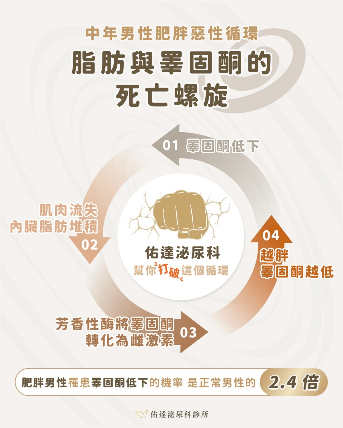脂肪與睪固酮的死亡螺旋:睪固酮低下造成肌肉流失與內臟脂肪堆積,芳香化酶把睪固酮轉成雌激素,越胖睪固酮越低,肥胖男性罹患睪固酮低下的機率是 2.4 倍