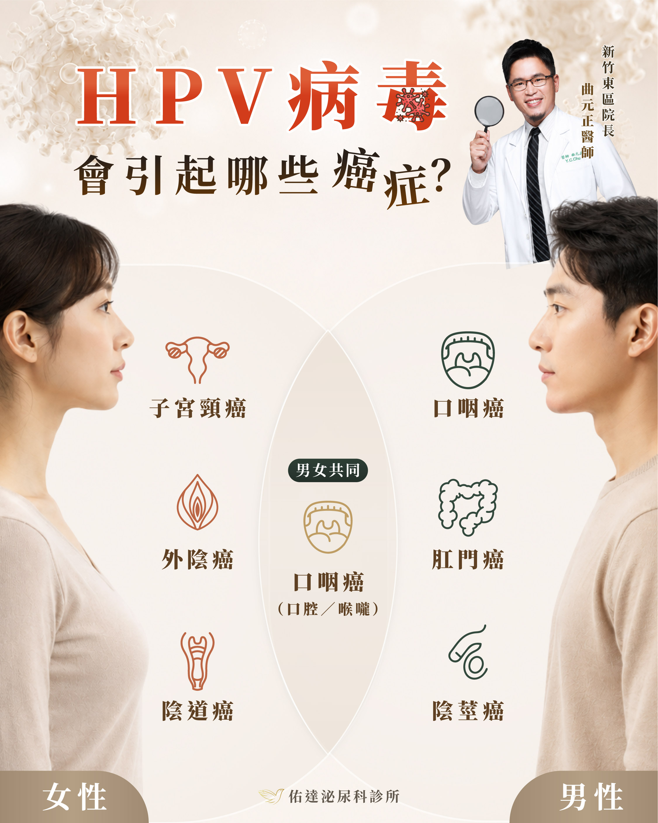 HPV 病毒會引起哪些癌症:男性肛門癌、口咽癌、陰莖癌與女性子宮頸癌的相關對照|佑達泌尿科