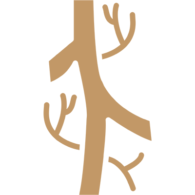 攝護腺炎低能量震波治療改善疼痛